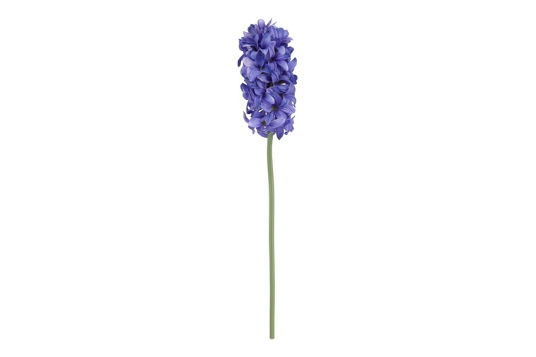 hyacinthdblauw